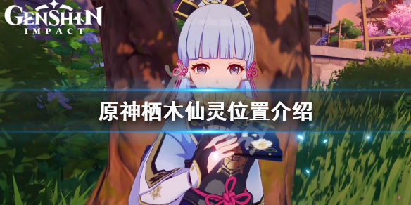 原神栖木仙灵在哪（元神栖木位置）