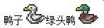 《泰拉瑞亚》小动物捕捉全指南
