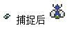 《泰拉瑞亚》小动物捕捉全指南