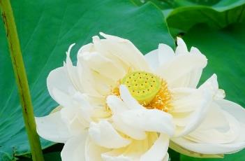 秋水长天 秋水长天