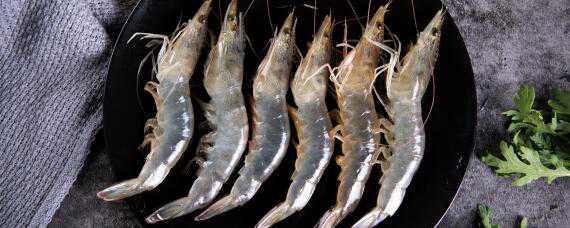 抓来的小河虾怎么养 抓来的小河虾怎么养殖