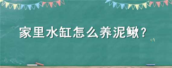 家里水缸怎么养泥鳅