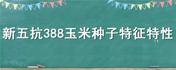 新五抗388玉米种子特征特性（新五抗388玉米种子是国审品种吗）