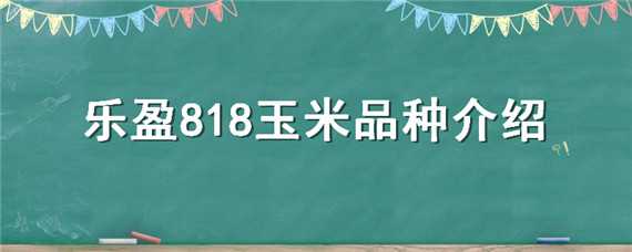 乐盈818玉米品种介绍 乐盈278玉米种子