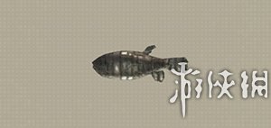 尼尔机械纪元钓鱼全可获得物品汇总 钓鱼有什么用 Carp