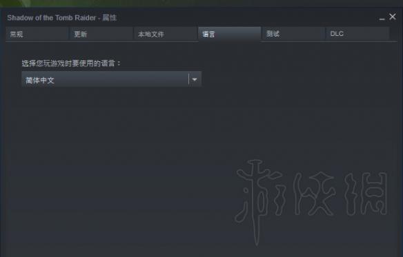 古墓丽影暗影中文补丁下载方法（古墓丽影暗影中文补丁怎么用）
