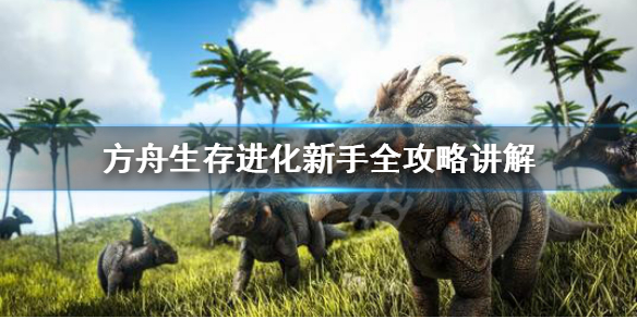 方舟生存进化新手怎么玩（方舟生存进化新手怎么玩视频）