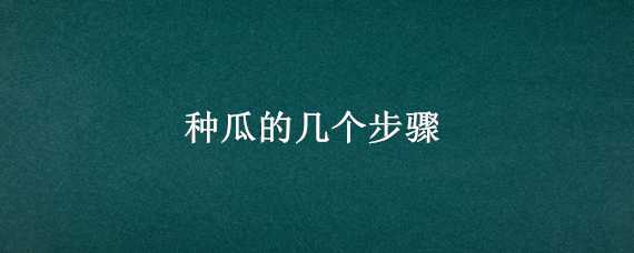 种瓜的几个步骤 种瓜的过程是怎么样的