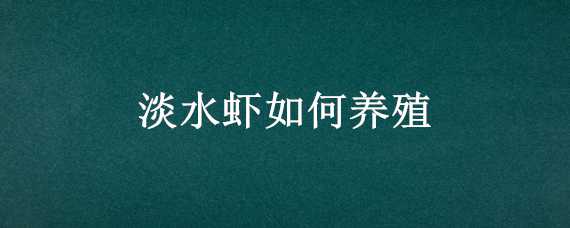 淡水虾如何养殖 淡水虾如何养殖图片