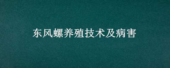 东风螺养殖技术及病害（东风螺养殖技术防治）