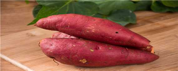 红薯用什么复合肥高产（红薯施复合肥好吗）