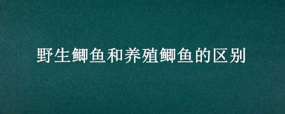 野生鲫鱼和养殖鲫鱼的区别