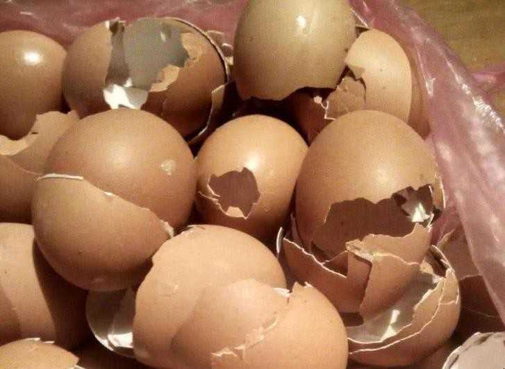 鸡蛋壳有什么用处 鸡蛋壳有什么用处答案是什么