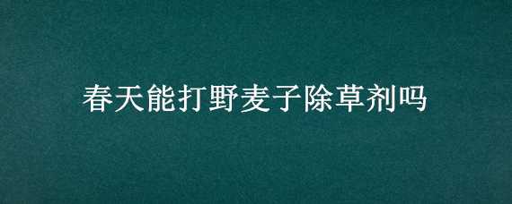 春天能打野麦子除草剂吗 野麦子春节后能打除草剂吗