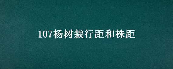 107杨树栽行距和株距 107杨树株距行距是多少