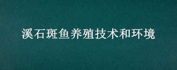 溪石斑鱼养殖技术和环境（溪石斑鱼的养殖技术）