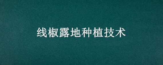 线椒露地种植技术