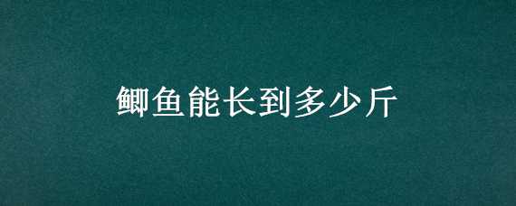 鲫鱼能长到多少斤 鲫鱼能长到多少斤