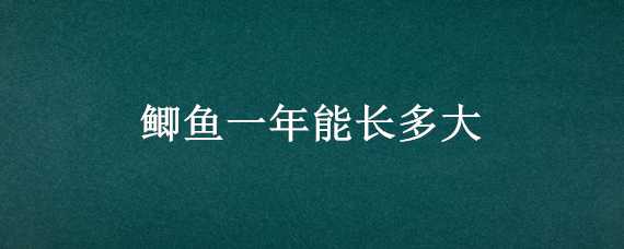 鲫鱼一年能长多大（黄金鲫鱼一年能长多大）