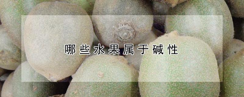 哪些水果属于碱性