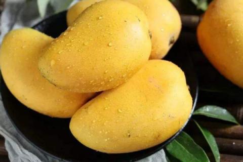 芒果如何保存