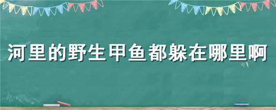 河里的野生甲鱼都躲在哪里啊 河里的野生甲鱼冬天都躲在哪里啊