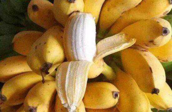 米蕉的功效与禁忌有哪些（米蕉的功效与禁忌有哪些呢）