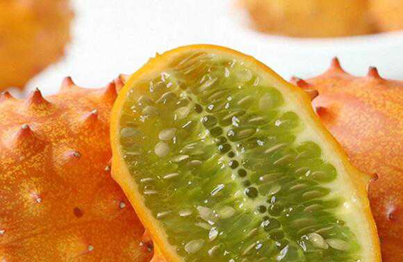 刺角瓜的养生功效和食用禁忌有哪些