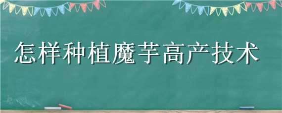 怎样种植魔芋高产技术 魔芋高产栽培技术