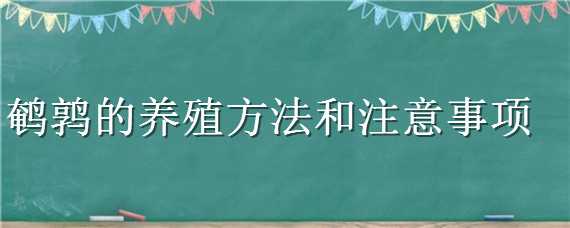 鹌鹑的养殖方法和注意事项