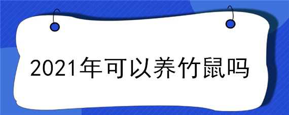 2021年可以养竹鼠吗