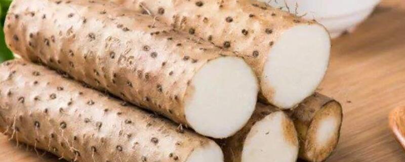 山药怎么水养（山药需要除水吗）