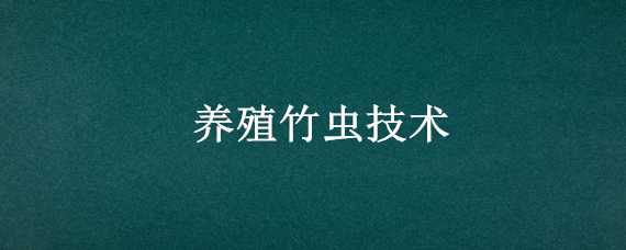 养殖竹虫技术 养殖竹虫技术要点