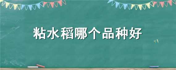 粘水稻哪个品种好 粘稻子什么品种最好