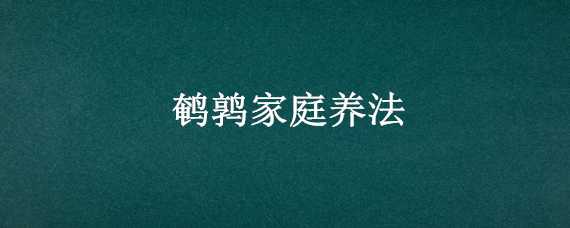 鹌鹑家庭养法（鹌鹑家庭养法视频）