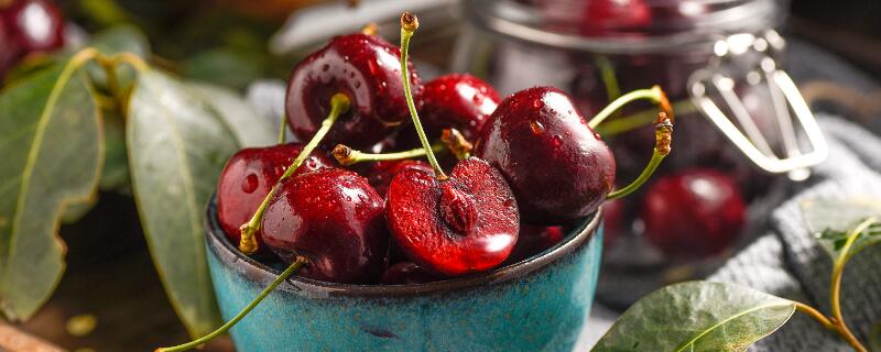 车厘子什么时候开花结果（盆栽车厘子什么时候开花结果）