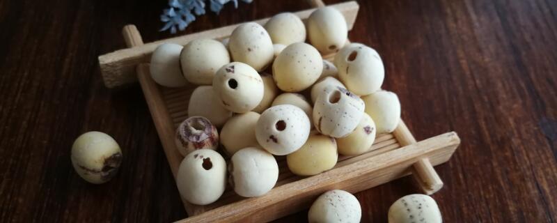 莲子的种植方法和时间（莲子的种植方法,一学就会!）