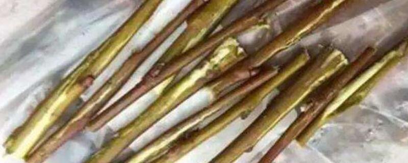 柳树皮养花怎么处理 柳树皮做花肥要怎么处理