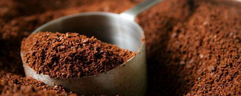 咖啡渣养花（咖啡渣养花适合哪些花）