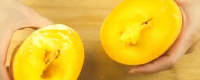 芒果核可以种吗（吃剩的芒果核可以种吗）