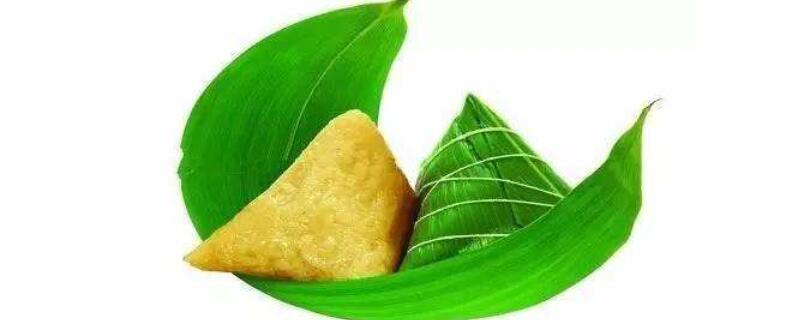 粽子叶是什么植物的叶子 南方粽子叶是什么植物的叶子