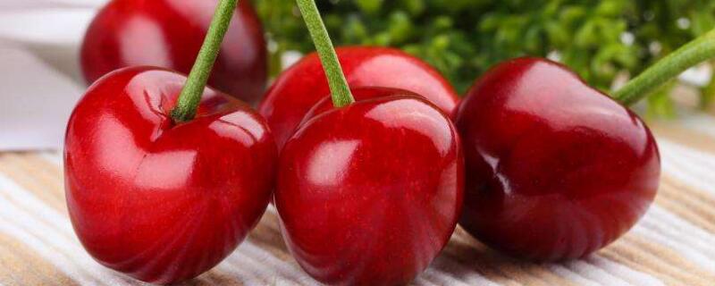 樱桃什么时候成熟 梨什么时候成熟