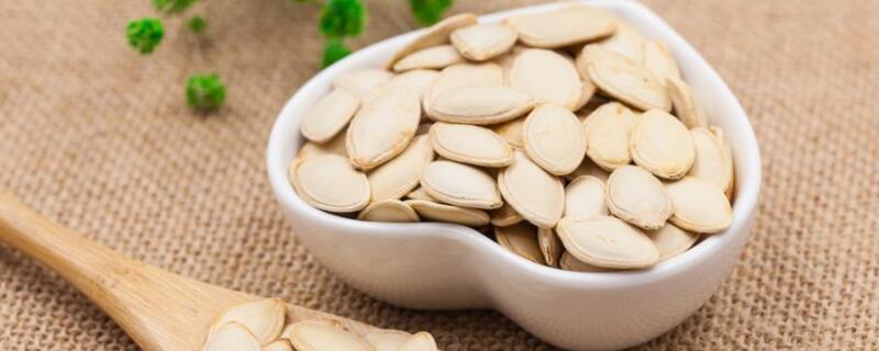 南瓜子如何发芽 南瓜怎么发芽