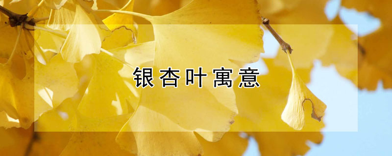 银杏叶寓意（银杏叶寓意和象征意义古诗）