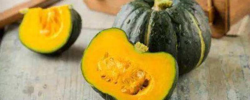 板栗南瓜什么时候种植（板栗小南瓜什么时候种?）