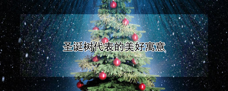 圣诞树代表的美好寓意（圣诞树的由来和寓意）