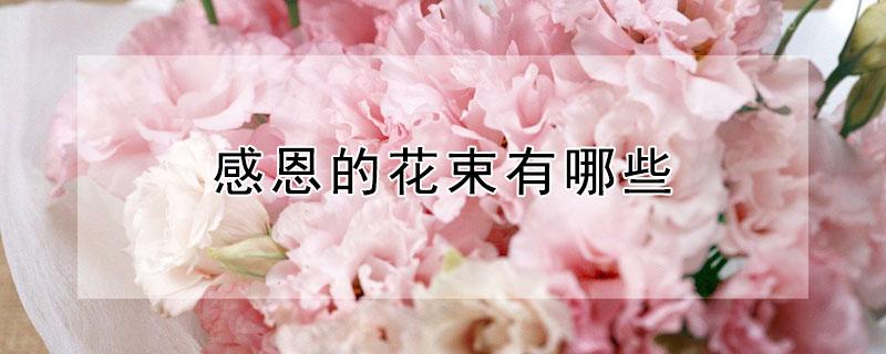 感恩的花束有哪些(感恩节送什么花束)