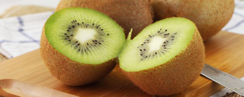 盆栽猕猴桃种植技术 盆栽猕猴桃种植技术与管理