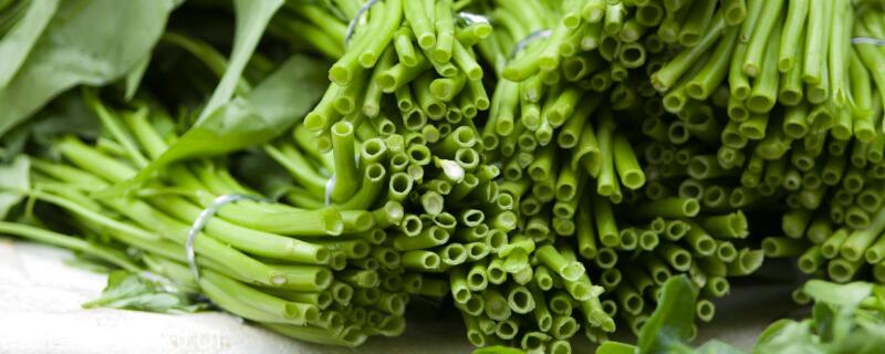 四月份种什么蔬菜(湖南四月份种什么蔬菜)