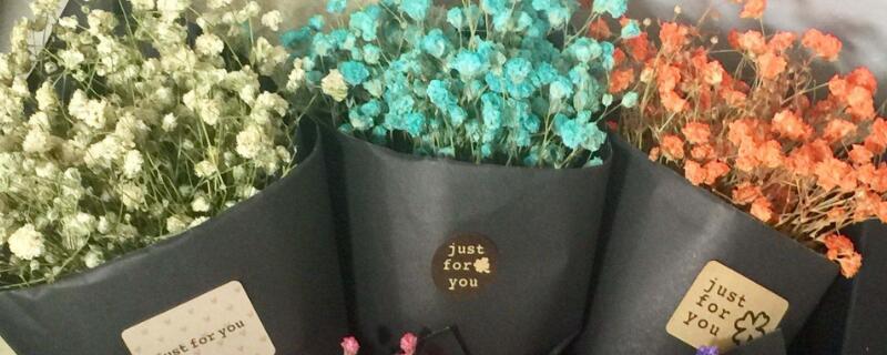 干的满天星怎么保存 满天星怎么风干永久保存